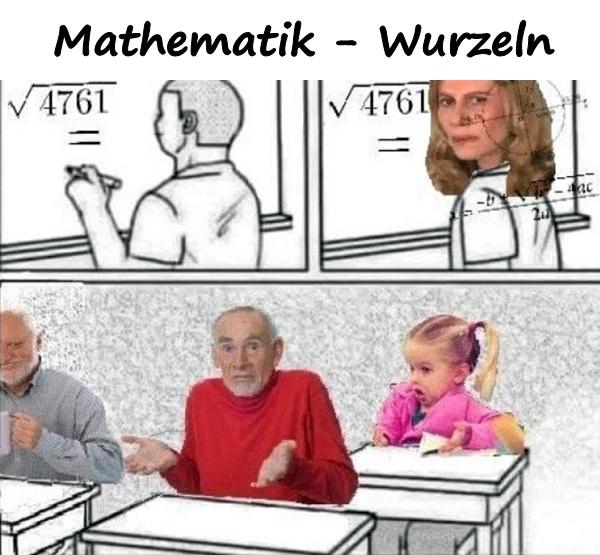 Mathematik - Wurzeln