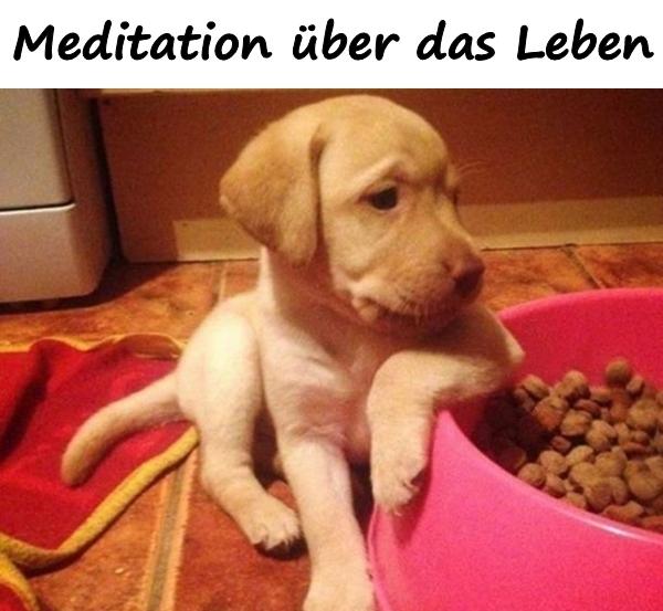 Meditation über das Leben