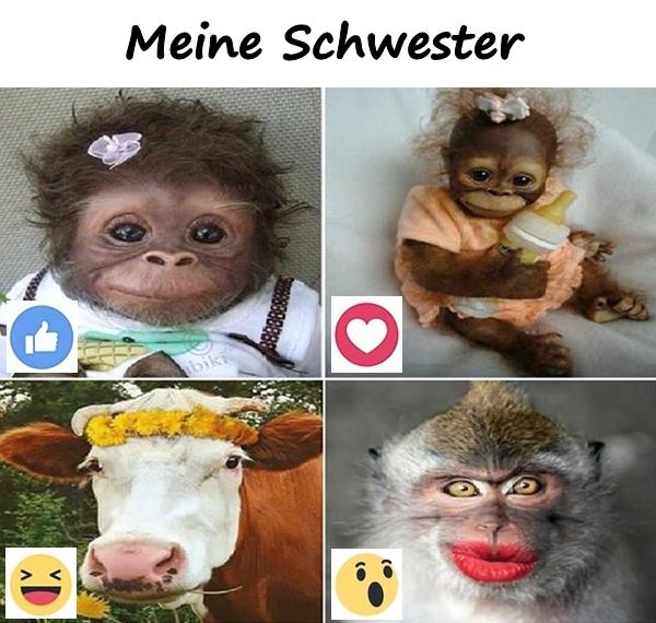 Meine Schwester