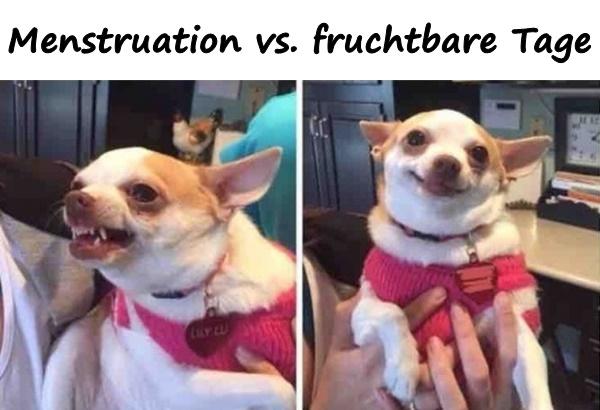 Menstruation vs. fruchtbare Tage