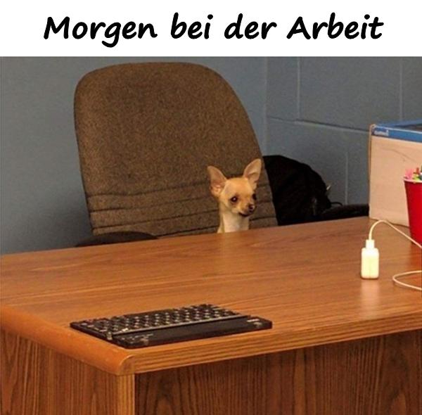 Morgen bei der Arbeit