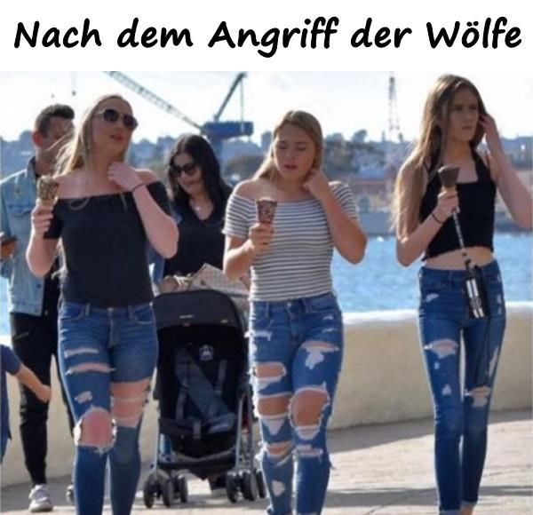 Nach dem Angriff der Wölfe