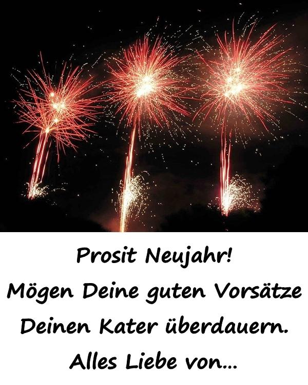 Prosit Neujahr! Mögen Deine guten Vorsätze Deinen Kater überdauern. Alles Liebe von 