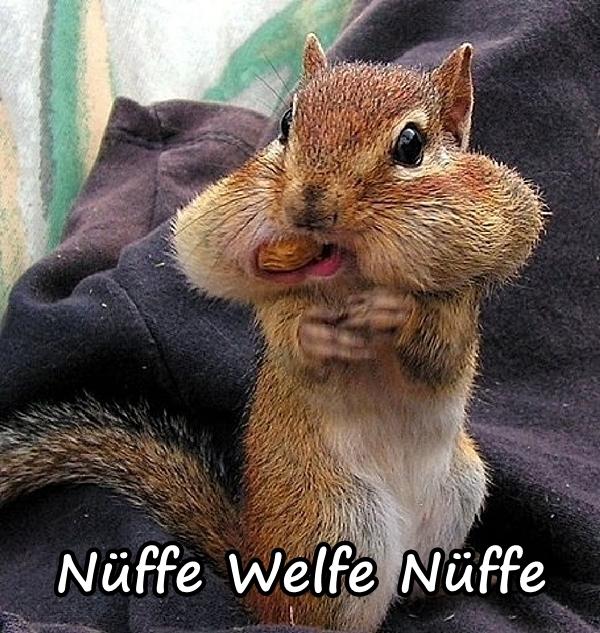 Nüffe? Welfe Nüffe?