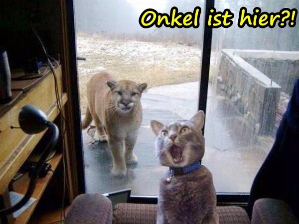 Onkel ist hier?!