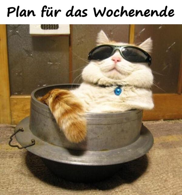 Plan für das Wochenende