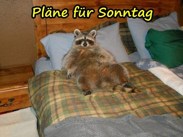 Pläne für Sonntag