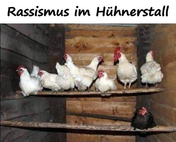 Rassismus im Hühnerstall