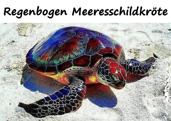 Regenbogen Meeresschildkröte