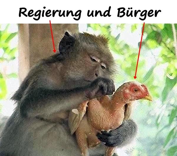 Regierung und Bürger