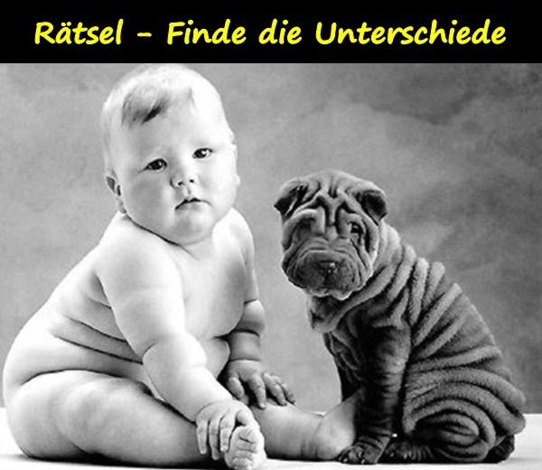 Rätsel - Finde die Unterschiede