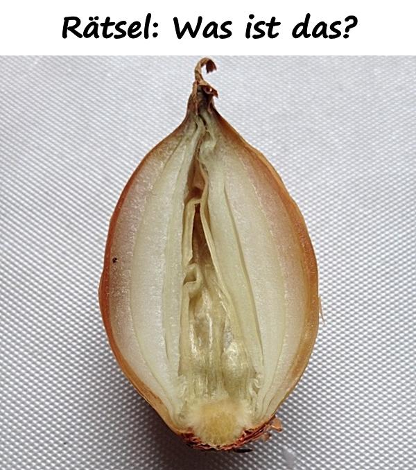 Rätsel: Was ist das?