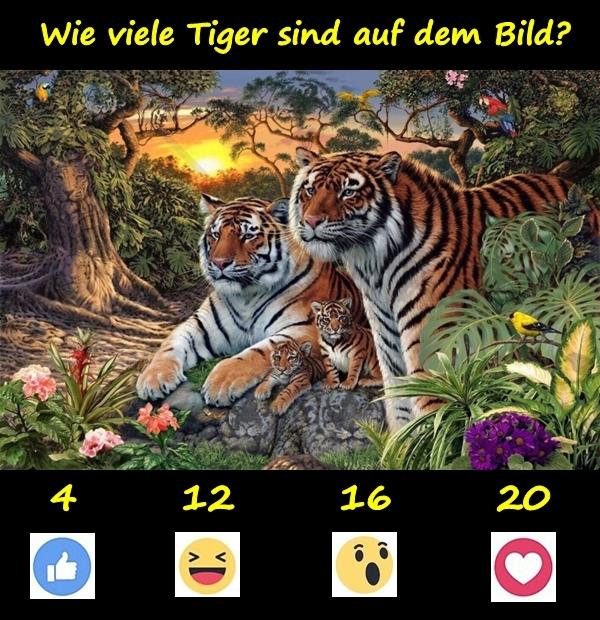 Wie viele Tiger sind auf dem Bild?