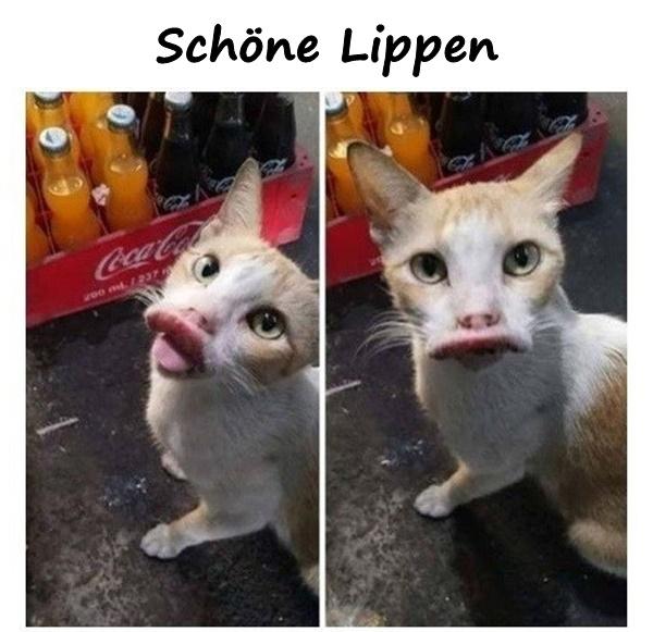 Schöne Lippen