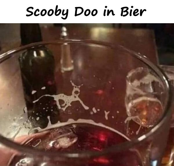 Scooby Doo in Bier