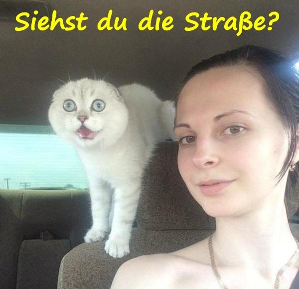 Siehst du die Straße?