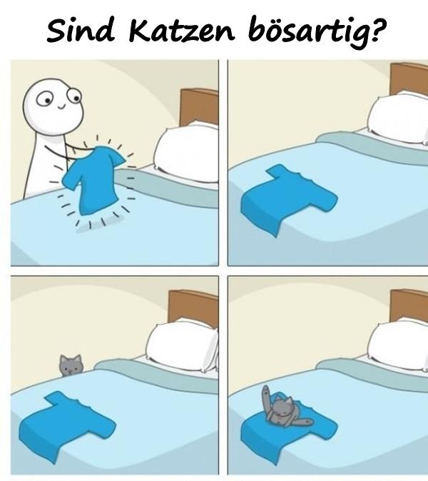 Sind Katzen bösartig?