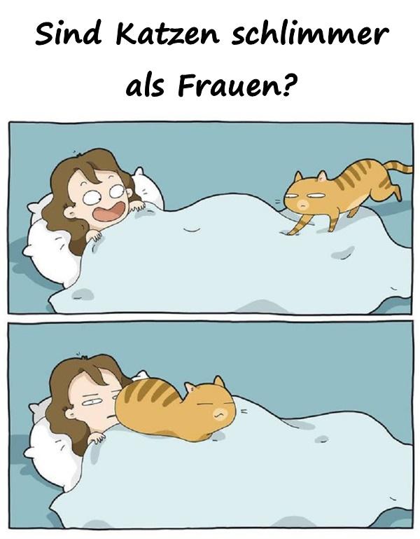 Sind Katzen schlimmer als Frauen?