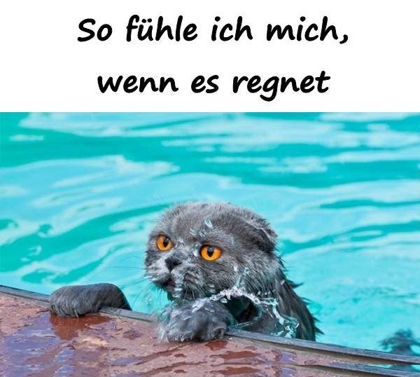 So fühle ich mich, wenn es regnet