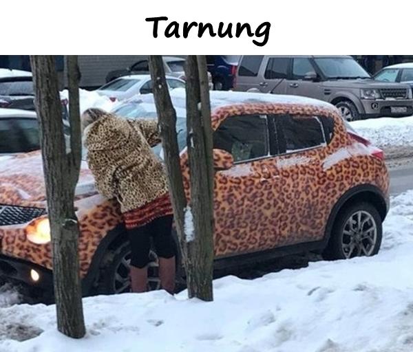 Tarnung