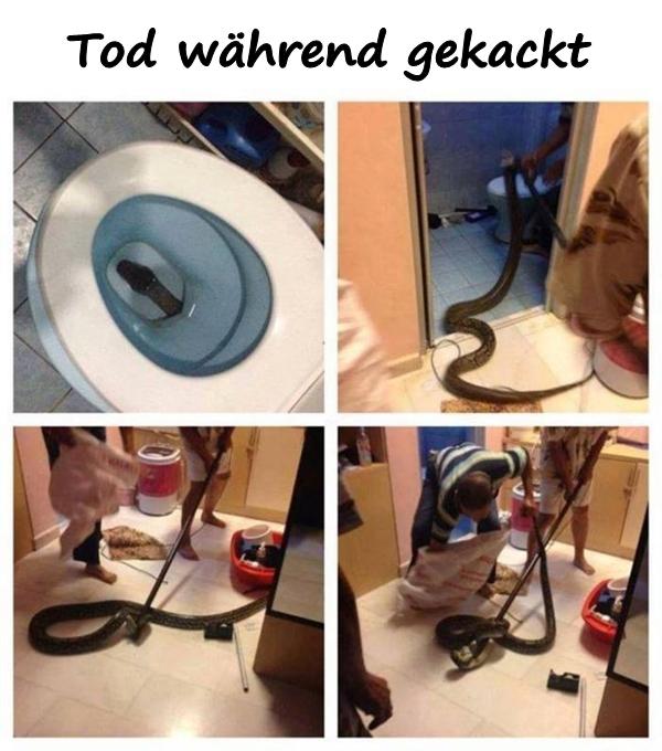 Tod während gekackt