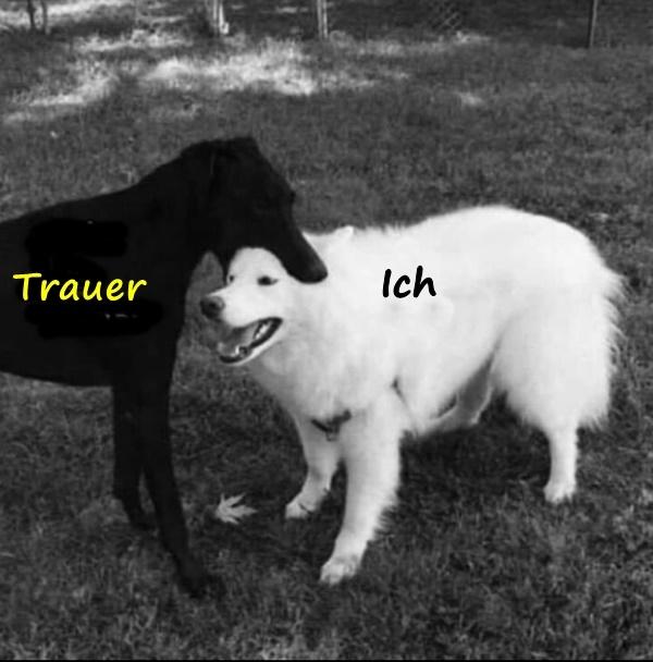 Trauer