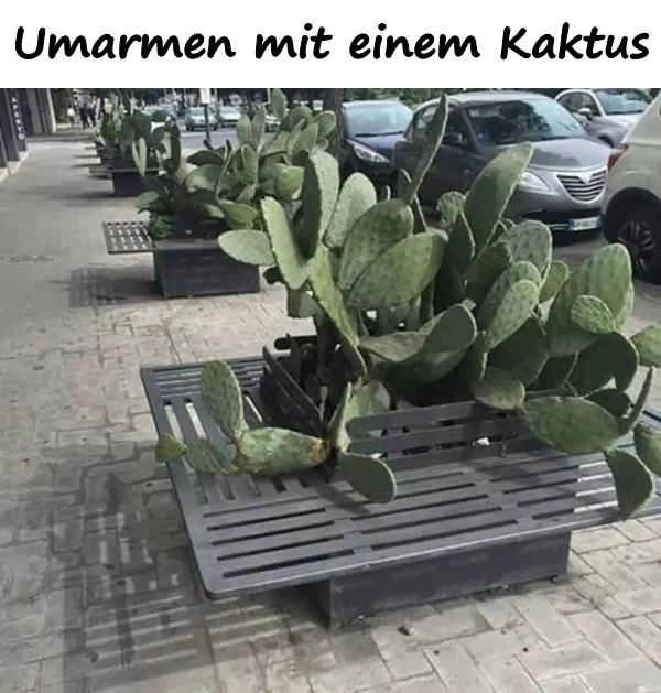 Umarmen mit einem Kaktus