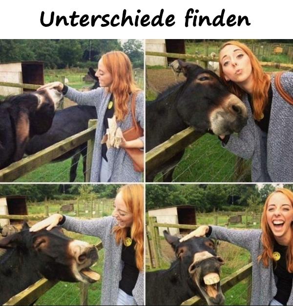 Unterschiede finden