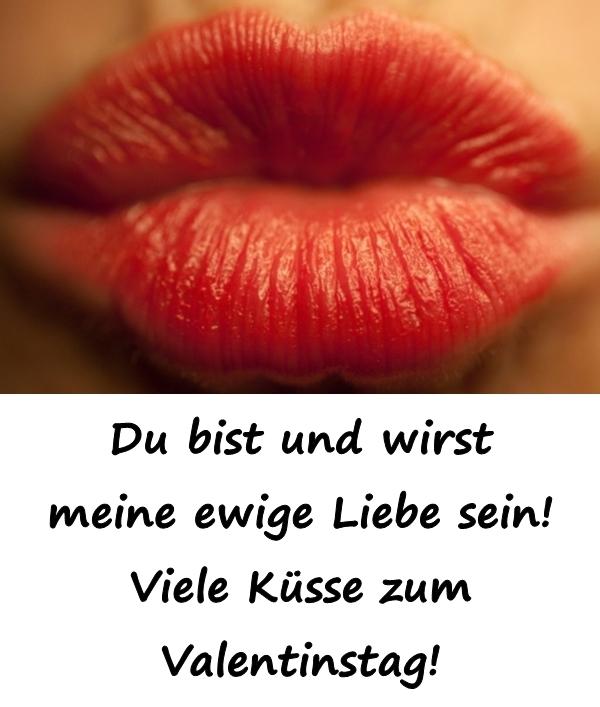 Du bist und wirst meine ewige Liebe sein! Viele Küsse zum Valentinstag!