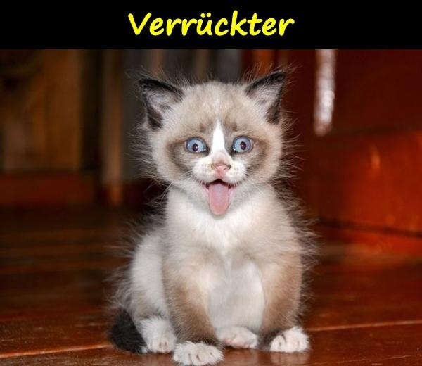 Verrückter