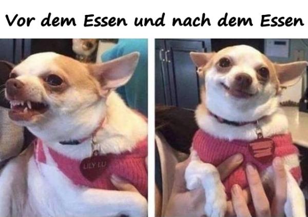 Vor dem Essen und nach dem Essen