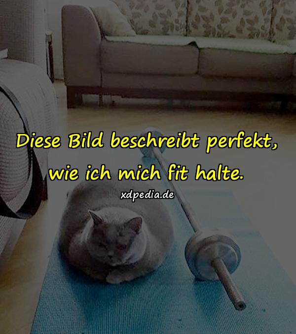 Diese Bild beschreibt perfekt, wie ich mich fit halte.