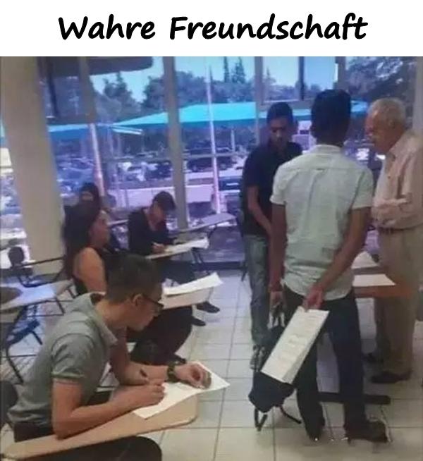 Wahre Freundschaft