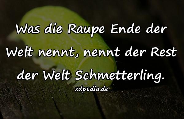 Was die Raupe Ende der Welt nennt, nennt der Rest der Welt Schmetterling.