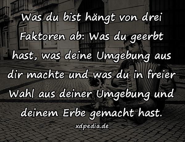 Was du bist hängt von drei Faktoren ab: Was du geerbt hast, was deine Umgebung aus dir machte und was du in freier Wahl aus deiner Umgebung und deinem Erbe gemacht hast.