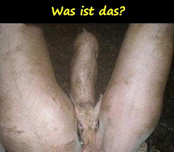 Was ist das?