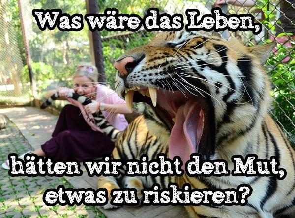 Was wäre das Leben, hätten wir nicht den Mut, etwas zu riskieren?