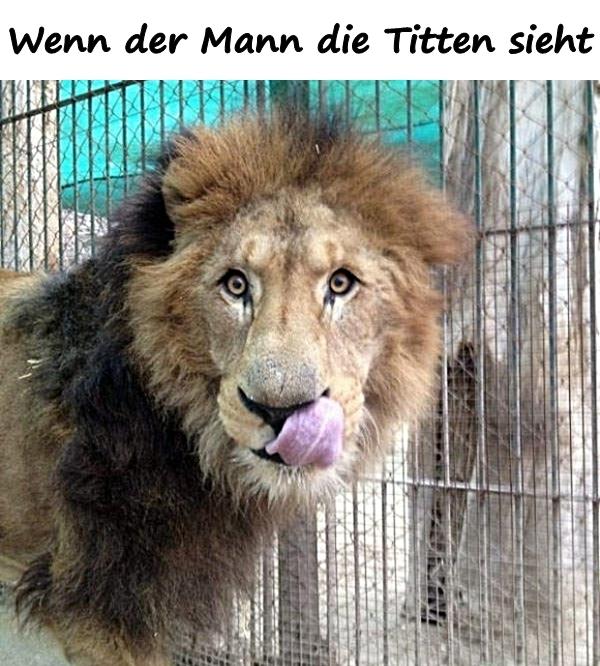 Wenn der Mann die Titten sieht