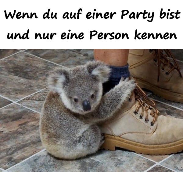 Wenn du auf einer Party bist und nur eine Person kennen