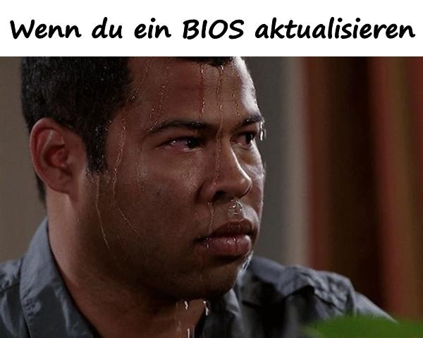 Wenn du ein BIOS aktualisieren