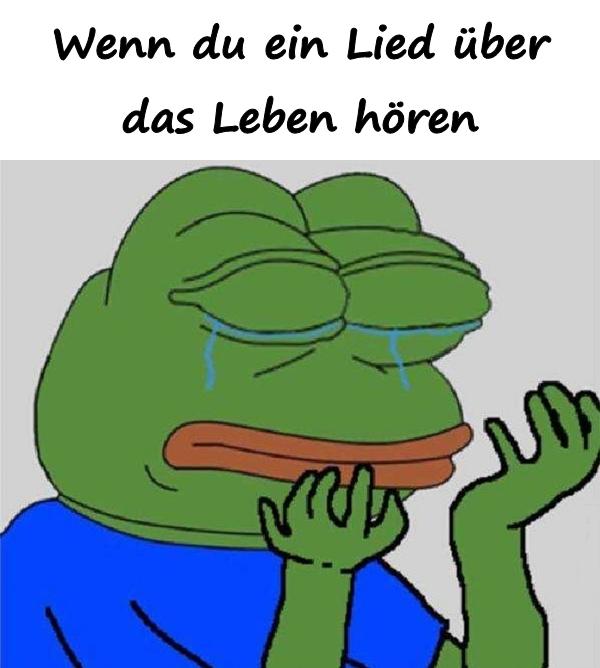 Wenn du ein Lied über das Leben hörst