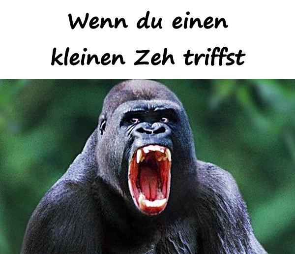 Wenn du einen kleinen Zeh triffst