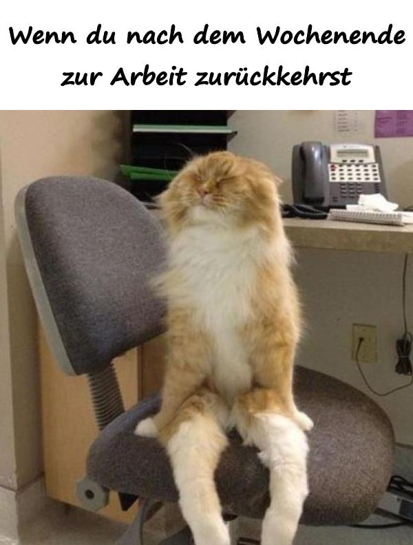 Wenn du nach dem Wochenende zur Arbeit zurückkehrst