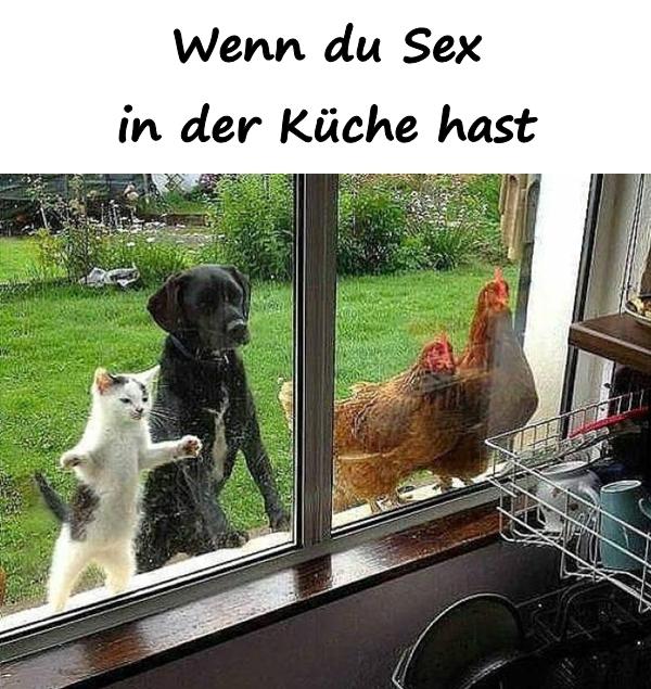 Wenn du Sex in der Küche hast