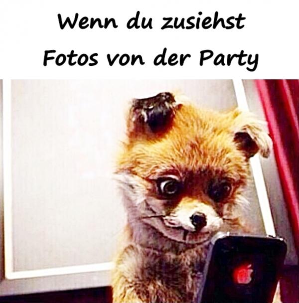 Wenn du zusiehst Fotos von der Party