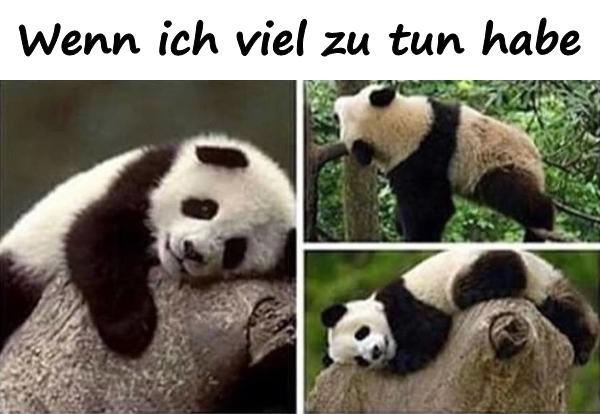 Wenn ich viel zu tun habe