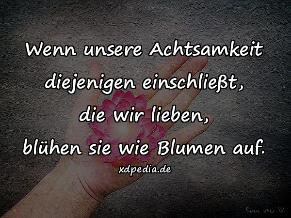 Wenn unsere Achtsamkeit diejenigen einschließt, die wir lieben, blühen sie wie Blumen auf.