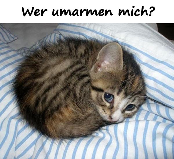 Wer umarmen mich?