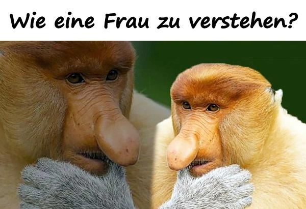 Wie eine Frau zu verstehen?