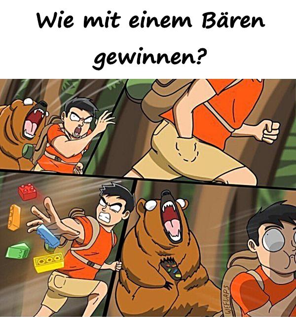 Wie mit einem Bären gewinnen?